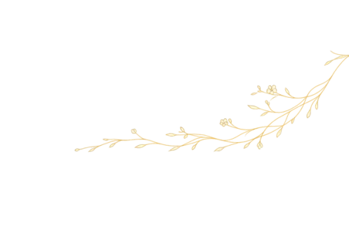 branches background right