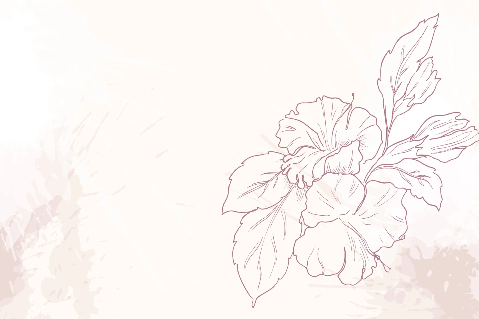 background light img